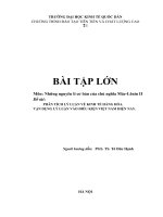 Phân tích lý luận về kinh tế hàng hóa vận dụng lý luận vào điều kiện việt nam hiện nay
