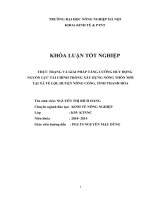 THỰC TRẠNG và GIẢI PHÁP TĂNG CƯỜNG HUY ĐỘNG NGUỒN lực tài CHÍNH TRONG xây DỰNG NÔNG THÔN mới tại xã tế lợi, HUYỆN NÔNG CỐNG, TỈNH THANH hóa