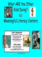 K 2 ppt  2007 elementary conference 