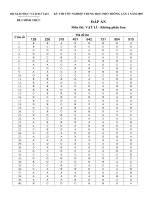 Đáp án đề thi tốt nghiệp THPT lần 2 hệ không phân ban năm 2008 - môn lý