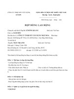 MẪU HỢP ĐỒNG LAO ĐỘNG CÔNG TY