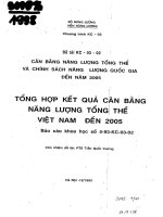 Tổng hợp kết quả cân bằng năng lượng tổng thể việt nam đến 2005