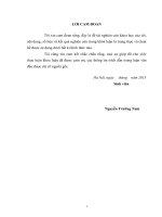 Đánh giá chiến lược mở rộng thị trường thức ăn gia súc của công ty TNHH DE HUES tại vùng đồng bằng sông hồng 