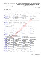 Đáp án đề thi tốt nghiệp môn anh năm 2013 của bộ GD&ĐT mã đề 246