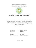 Đánh giá hiệu quả kinh tế sản xuất dứa trên địa bàn xã bảo sơn, huyện lục nam, tỉnh bắc giang 
