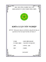 Đánh giá tác động của xuất khẩu lao động đến đời sống của người dân xã nam cát, huyện nam đàn, tỉnh nghệ an 
