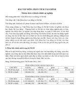 Tiểu luận môn phân tích tài chính Đối tượng phân tích Viện khoa học lao động và xã hội