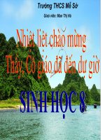 Bài giảng sinh học 8 thực hành tìm hiểu chức năng liên quan tới cấu tạo của tủy sống (3) 