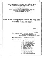 Văn hóa trong quá trình đô thị hóa ở nước ta hiện nay