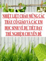 Bài giảng sinh học 8 thực hành tìm hiểu chức năng liên quan tới cấu tạo của tủy sống (8) 