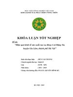 Hiệu quả kinh tế sản xuất rau vụ đông ở xã đặng xá, huyện gia lâm, thành phố hà nội 