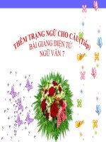 Bài giảng ngữ văn 7 bài 22 thêm trạng ngữ cho câu (tiếp) 10