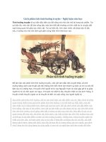 Cách phân tích tình huống truyện – nghị luận văn học 