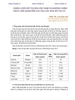 Chiến lược đô thị hóa Việt Nam và những chính sách liên quan đến cải tạo các khu đô thị cũ