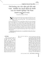 Ảnh hưởng của việc nắm giữ tiền mặt vượt trội đến các quyết định tài chính của các doanh nghiệp Việt Nam