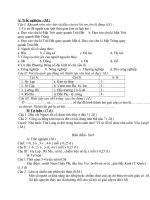 Đề thi lớp 6 học kì 1 môn lịch sử năm 2012 đề số 3