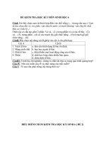 Đề thi lớp 6 học kì 1 môn sinh học năm 2012 đề số 17