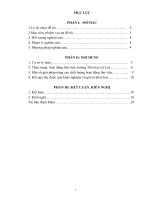 skkn thực trạng và giải pháp nâng cao chất lượng hoạt động của thư viện trường tiểu học lê lợi”