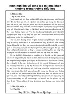 skkn kinh nghiệm về công tác thi đua khen thưởng trong trường tiểu học 