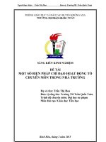 skkn một số biện pháp chỉ đạo hoạt động tổ chuyên môn trong nhà trường