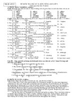 Đề thi lớp 9 học kì 2 môn tiếng anh năm 2012 đề số 11