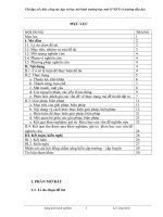 skkn chỉ đạo, tổ chức công tác dạy và học mô hình VNEN ở trường tiểu học  