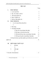 skkn kinh nghiệm bồi dưỡng năng lực chuyên môn cho đội ngũ giáo viên   