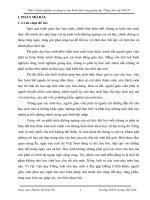 skkn  một số kinh nghiệm sử dụng tư liệu trong giảng dạy tiếng anh cấp THCS 