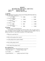 Đề thi lớp 6 học kì 2 môn tiếng anh năm 2012 đề số 103