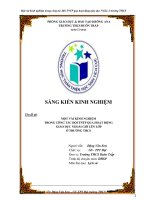 skkn một vài kinh nghiệm trong công tác đội TNTP thông qua hoạt động giáo dục NGLL ở trường THCS