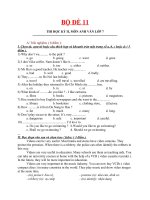 Đề thi lớp 7 học kì 2 môn tiếng anh năm 2012 đề số 11