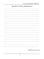 Tiểu luận chủ đề lý thuyết tài chính hành vi