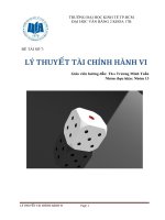 Tiểu luận LÝ THUYẾT TÀI CHÍNH HÀNH VI