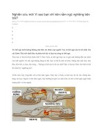 Nghiên cứu mới vì sao bạn chỉ nên nằm ngủ nghiêng bên trái 