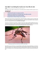 Xác định 3 con đường lây truyền của virus zika ăn não 