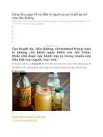 Công thức giúp hỗ trợ điều trị người bị cao huyết áp mỡ máu tiểu đường 