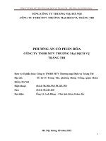 PHƯƠNG ÁN CỔ PHẦN HÓA CÔNG TY TNHH MTV THƯƠNG MẠI DỊCH VỤ TRÀNG THI