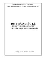 DỰ THẢO ĐIỀU LỆ CÔNG TY CỔ PHẦN VẬT TƯ VÀ XUẤT NHẬP KHẨU HOÁ CHẤT