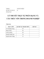 LÝ THUYẾT TRẬT TỰ PHÂN HẠNG VÀ CẤU TRÚC VỐN TRONG DOANH NGHIỆP