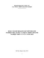 BÁO CÁO KẾ HOẠCH SẮP XẾP DOANH NGHIỆP NHÀ NƯỚC VÀ PHÁT TRIỂN DOANH NGHIỆP NHỎ VÀ VỪA NĂM 2015