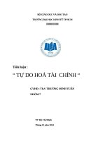 Tiểu luận chủ đề Tự do hóa tài chính