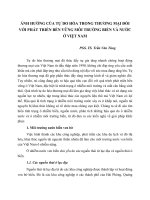 ẢNH HƯỞNG CỦA TỰ DO HÓA TRONG THƯƠNG MẠI ĐỐI VỚI PHÁT TRIỂN BỀN VỮNG MÔI TRƯỜNG BIỂN VÀ NƯỚC Ở VIỆT NAM