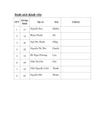 Tiểu luận lý thuyết trật tự phân hạng và cấu trúc vốn trong doanh nghiệp