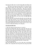 Tác dụng của dầu tràm và cách sử dụng dầu tràm đúng cách