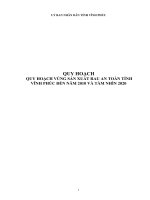 QUY HOẠCH VÙNG SẢN XUẤT RAU AN TOÀN TỈNH VĨNH PHÚC ĐẾN NĂM 2010 VÀ TẦM NHÌN 2020