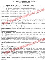 Đáp án đề thi môn toán khối D năm 2013 của bộ GD&ĐT