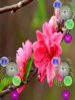 BÀI 20 CÂU ĐẶC BIỆT NGỮ VĂN 7