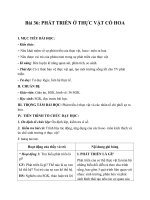 Giáo án sinh học 11 bài 36