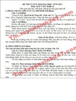 Đáp án đề thi đại học môn văn khối D năm 2013
