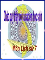 BÀI 24 KHỞI NGHĨA NÔNG DÂN ĐÀNG NGOÀI THẾ KỈ XVIII